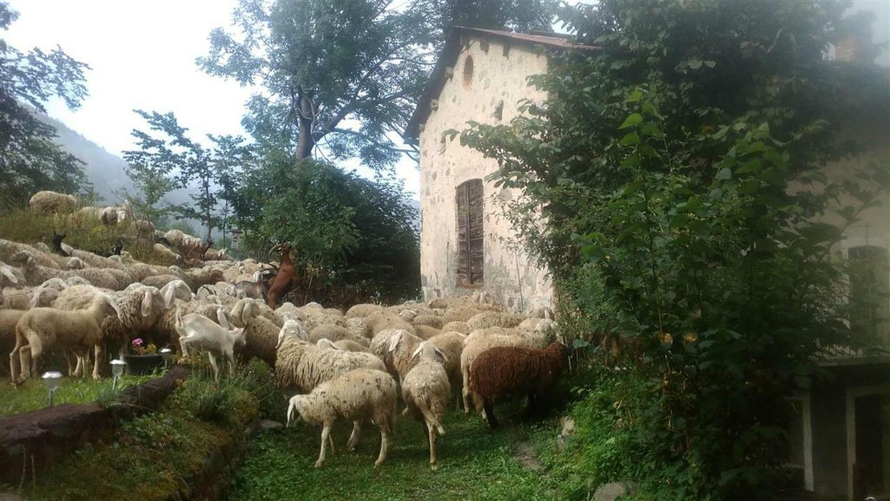 B&B L'Abric - Centro Storico Di Limonetto Limone Piemonte Exterior foto